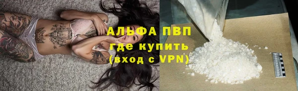 гашик Дмитровск