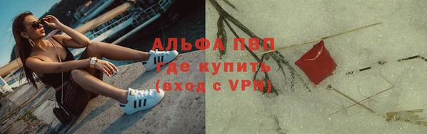 амф Дмитриев
