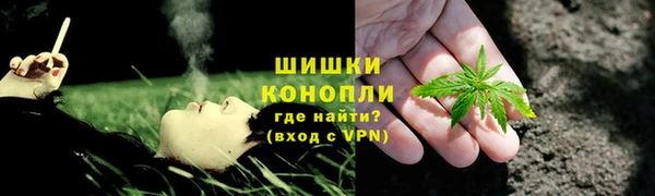 амф Дмитриев