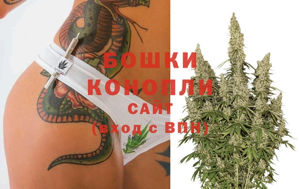 амф Дмитриев