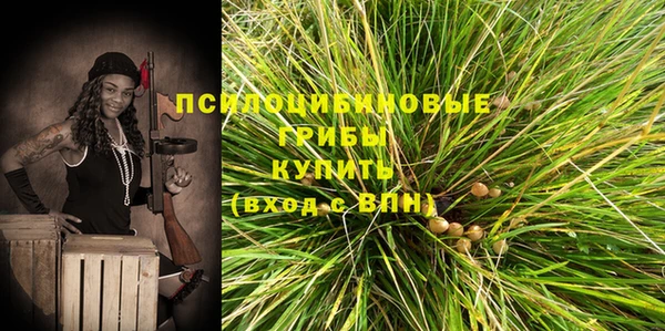 амф Дмитриев