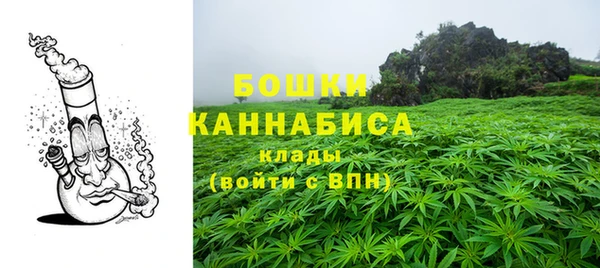гашик Дмитровск