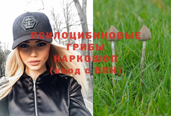 амф Дмитриев
