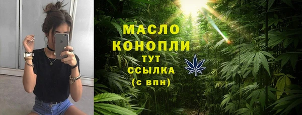 амф Дмитриев