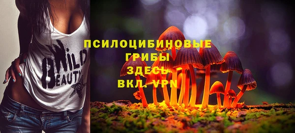 гашик Дмитровск