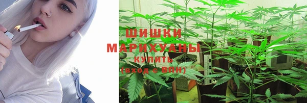 гашик Дмитровск