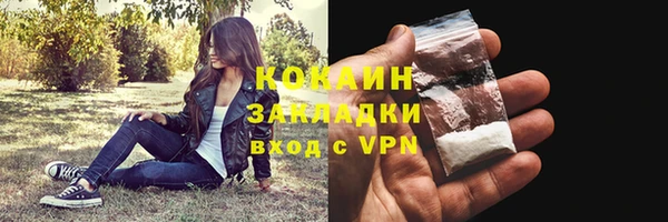 амф Дмитриев