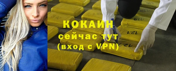 амф Дмитриев