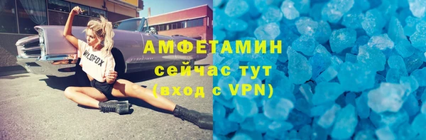 гашик Дмитровск