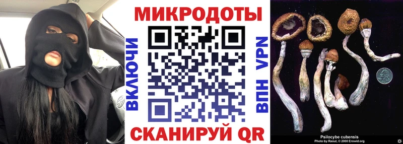 Псилоцибиновые грибы ЛСД  Заводоуковск 