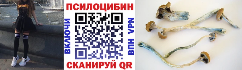 Псилоцибиновые грибы GOLDEN TEACHER Заводоуковск