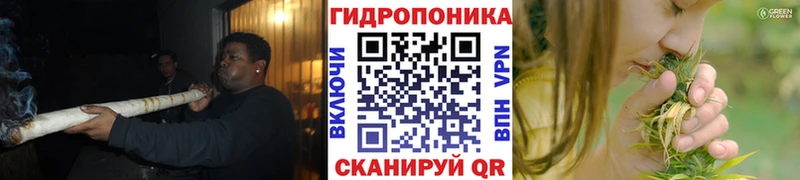 МЕГА зеркало  Заводоуковск  МАРИХУАНА семена  дарнет шоп 